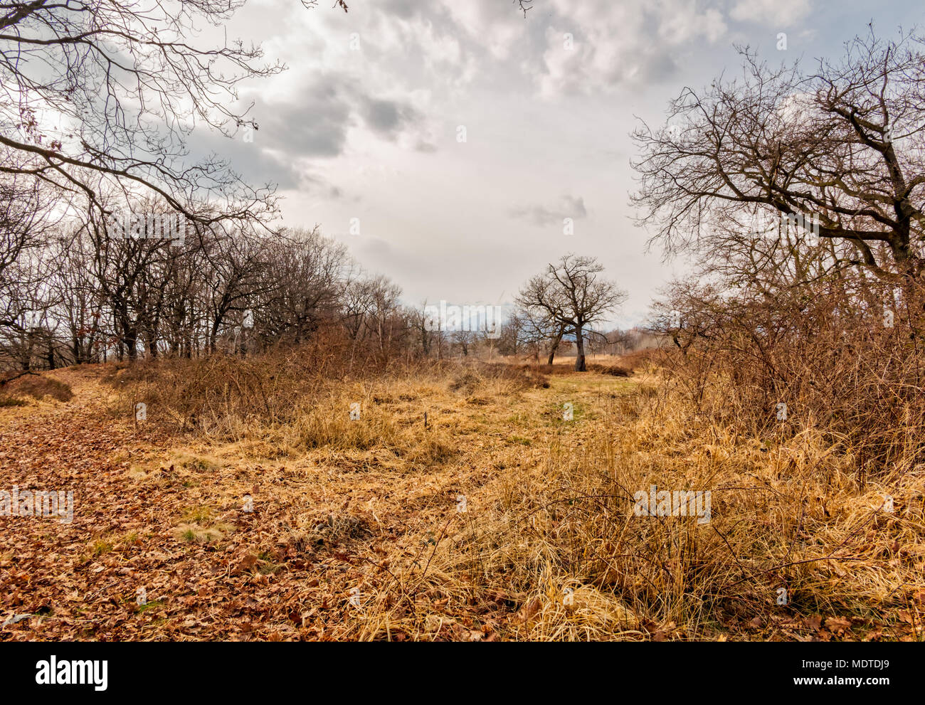 candelo-italy-hi-res-stock-photography-and-images-alamy