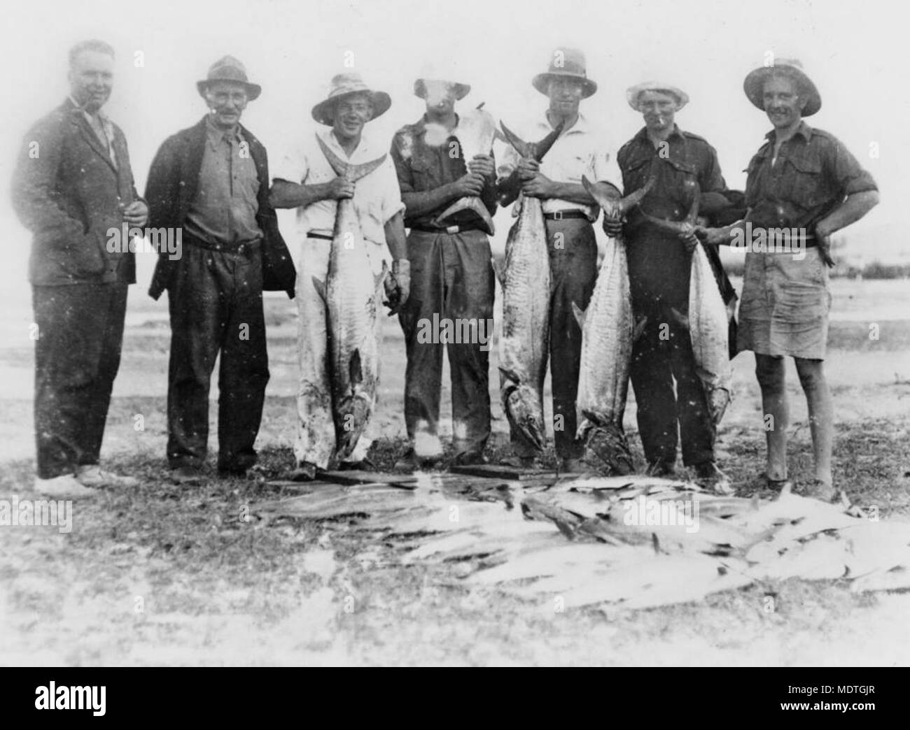 Spanish mackerel australia hires stock photography and images Alamy
