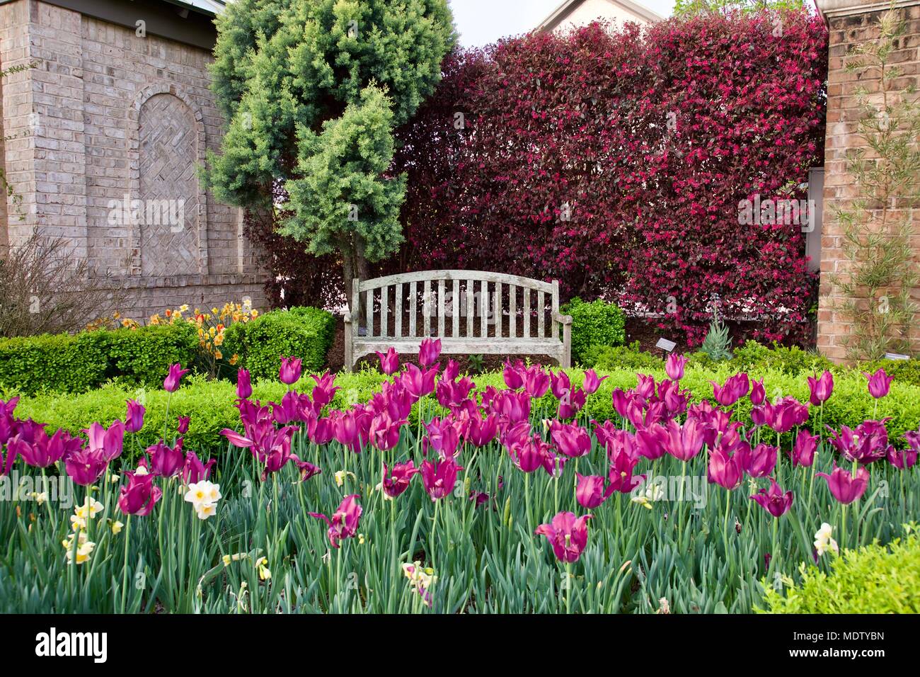 Botanical N Stock Photos Botanical N Stock Images Alamy