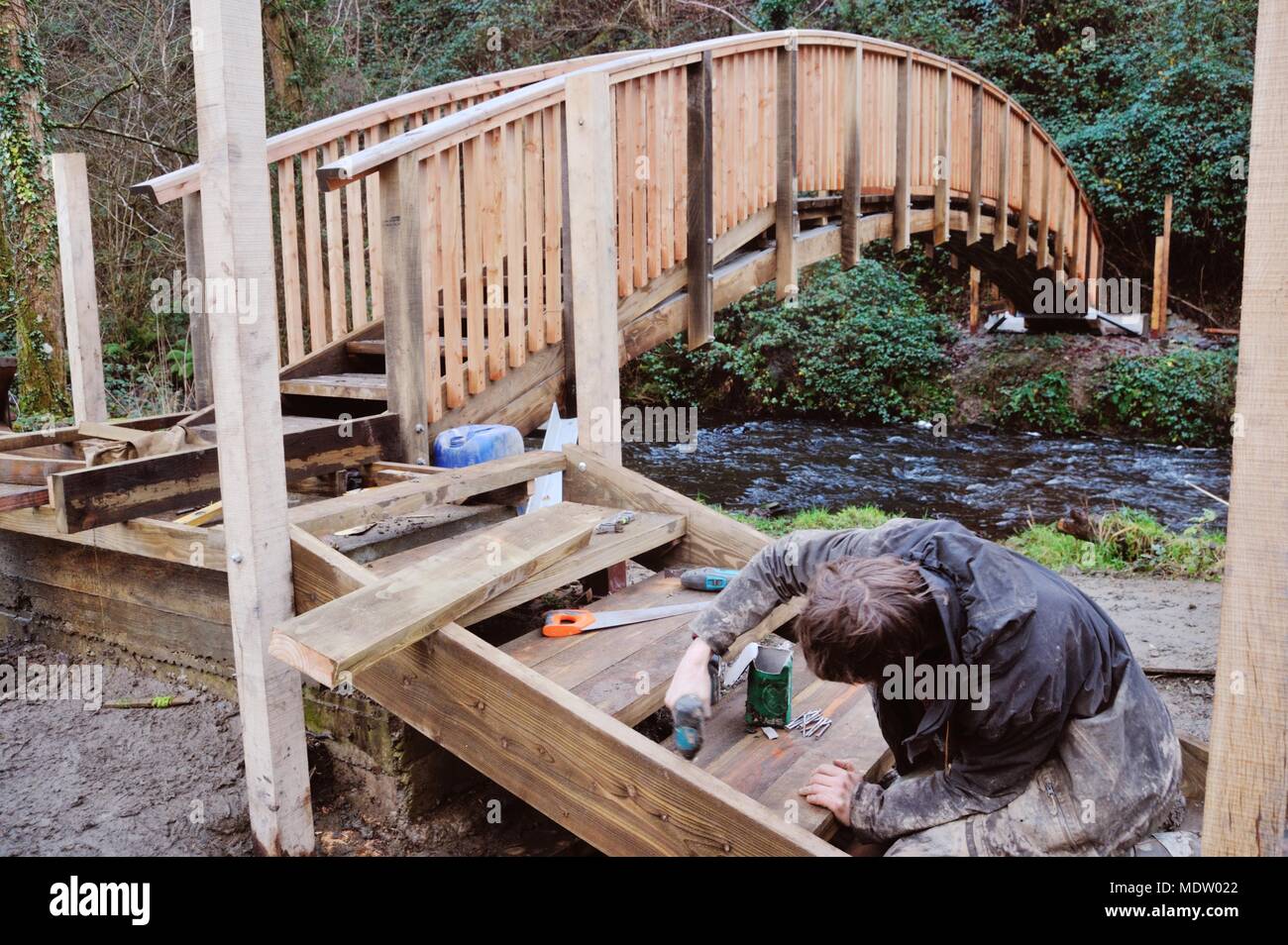 27 in a series of 32, building a timber footbridge, construction of access steps. Stock Photo