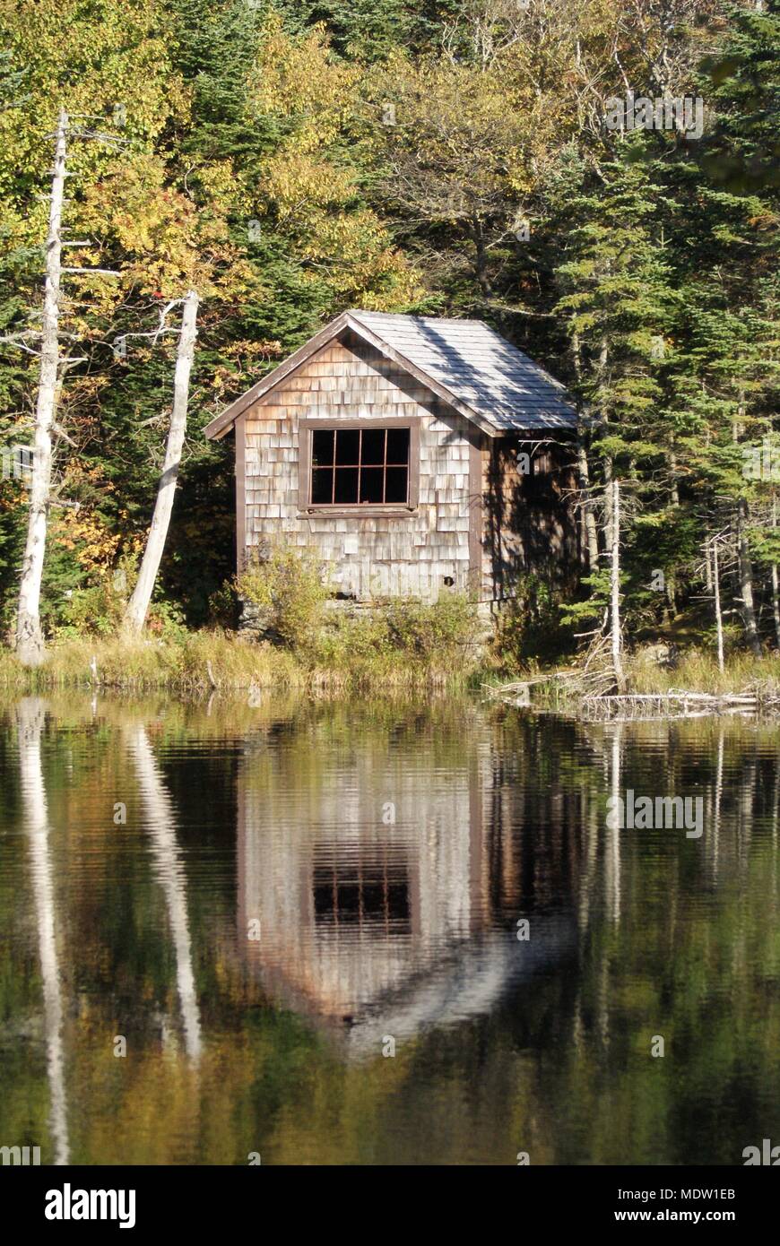 A simple wood shingled lakeside cabin hidden away in the birch forest Stock Photo