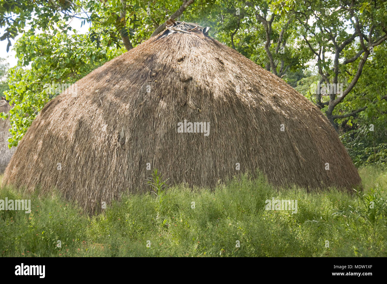 Hollow Village Aiha - ethnicity Kalapalo - Indigena Parque do Xingu - MT Stock Photo