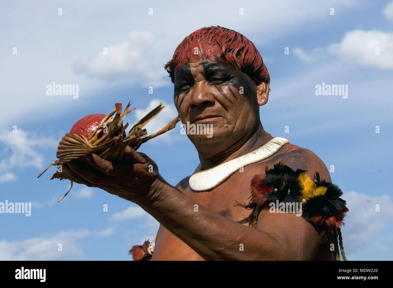 Cacique Tafukuma Village Aiha prepared for kuarup - ethnicity Kalapalo - Indigenous Park of the Xingu Stock Photo