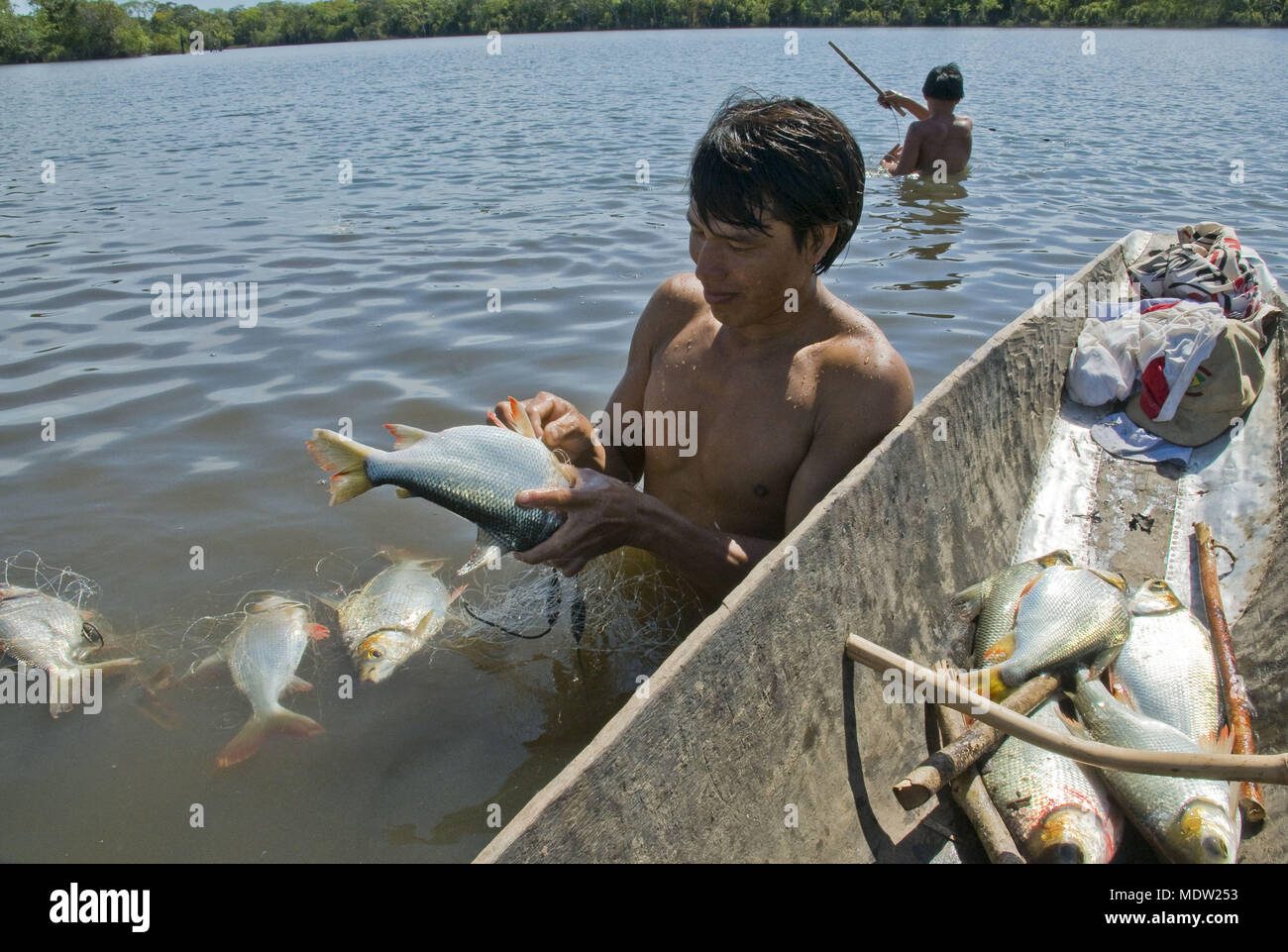 Kalapalo Indians fishing with net in lake Kusse - Village Aiha - Indigenous Park of the Xingu Stock Photo