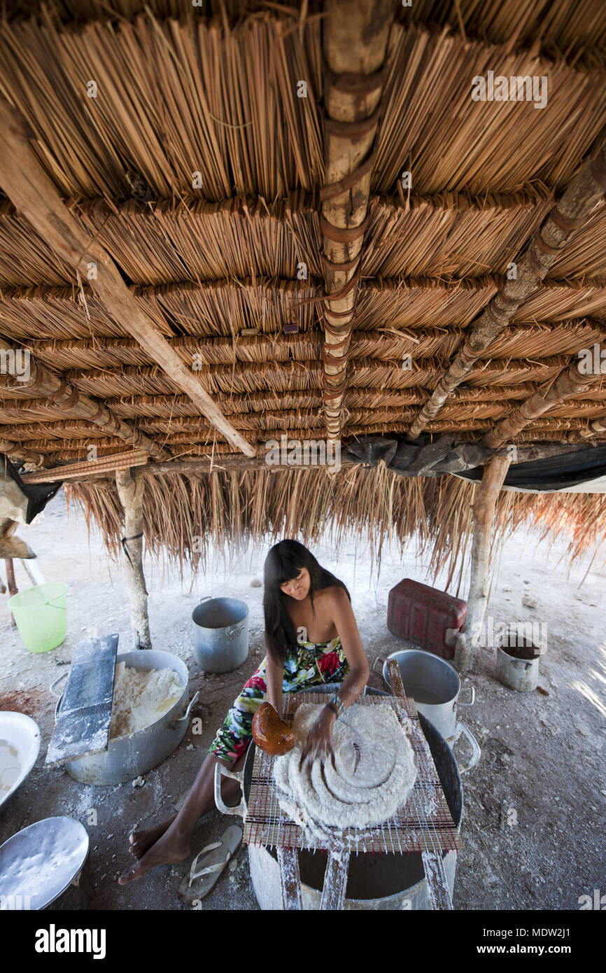 india village Aiha ethnicity Kalapalo preparing cassava Brazilead - the Xingu Indigenous Park Stock Photo