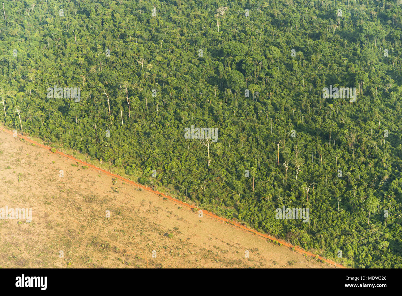 Amazon rainforest deforestation hires stock photography