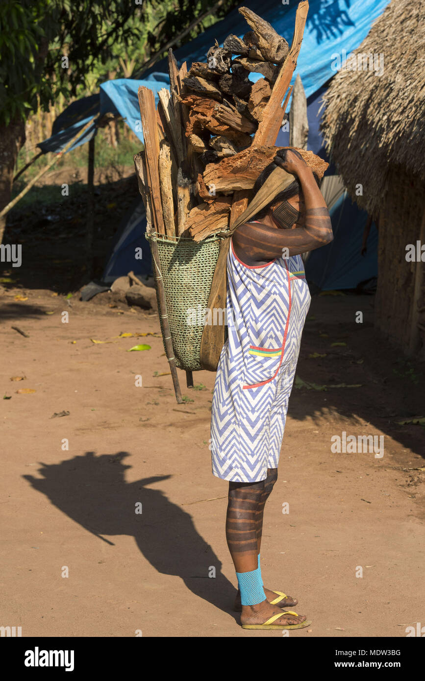 India Kayapo village Moikarako carrying firewood for cooking supported balaio forehead Stock Photo