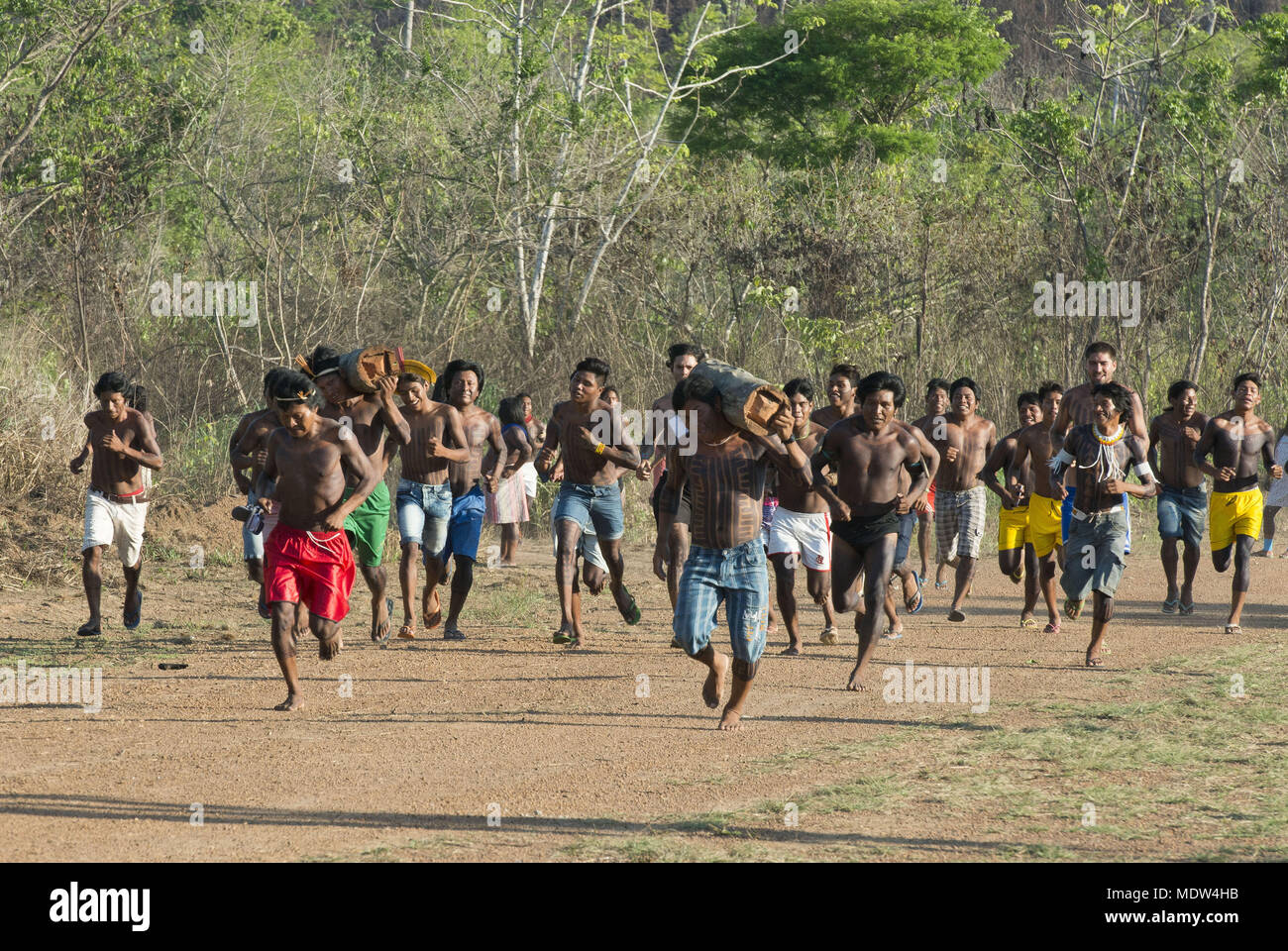 male running logs of the Kayapo Indians of the village Moikarako Stock Photo