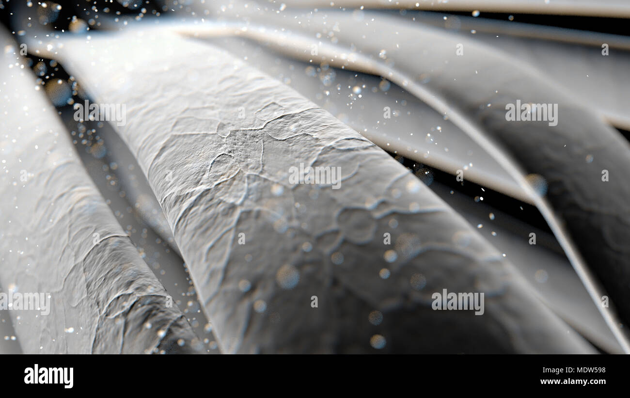 A microscopic macro closeup view of strands of textured hair or fibers - 3D render Stock Photo