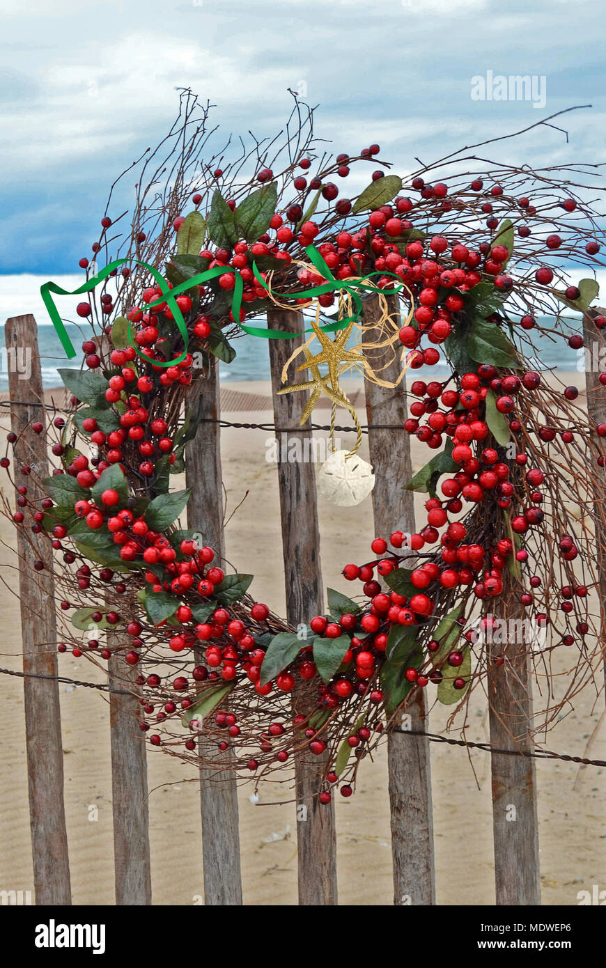 red Christmas berry wreath on beach fence with starfish and sand dollar Stock Photo