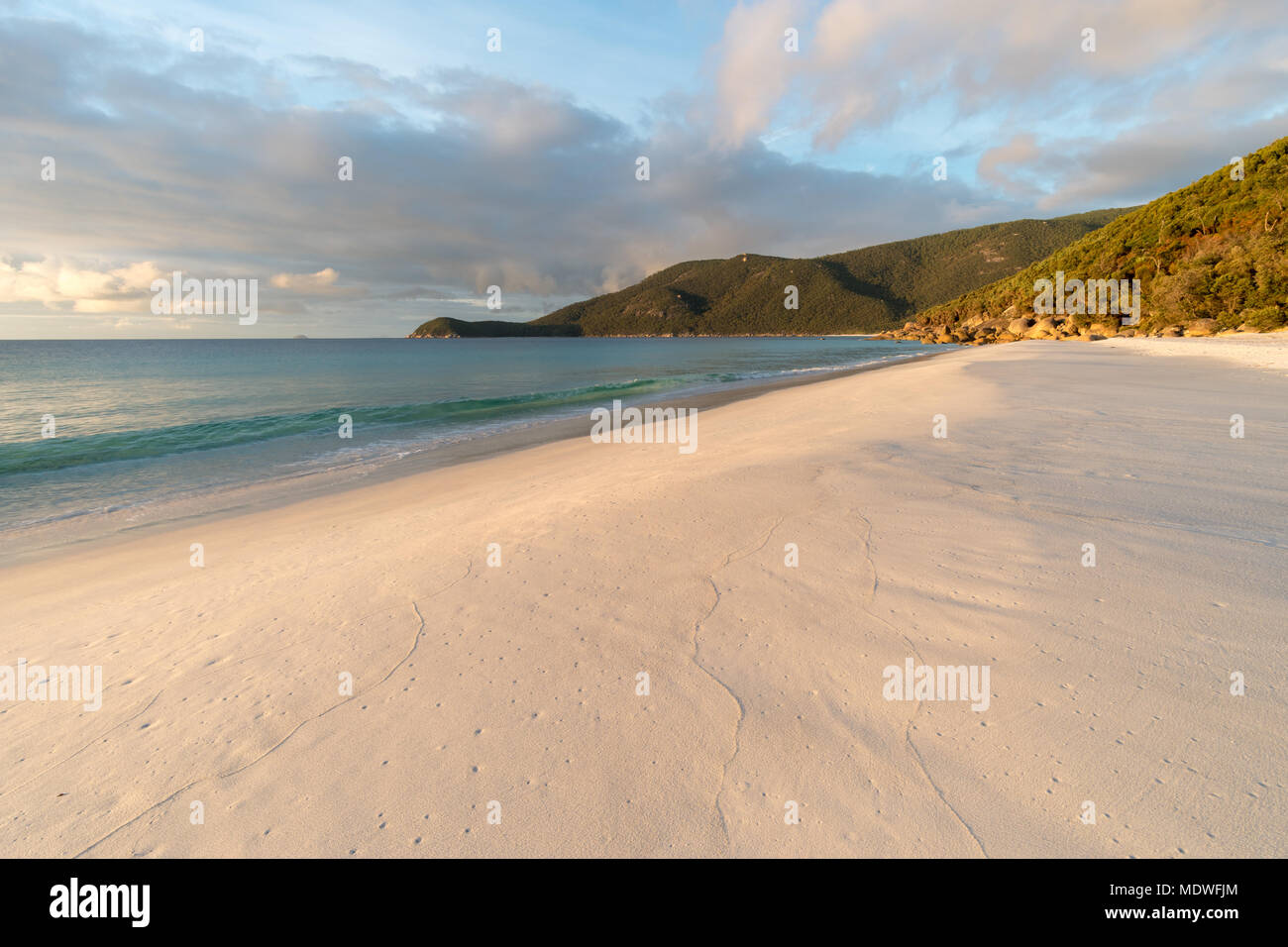 White sand beach in the Wilsons Promontory Stock Photo