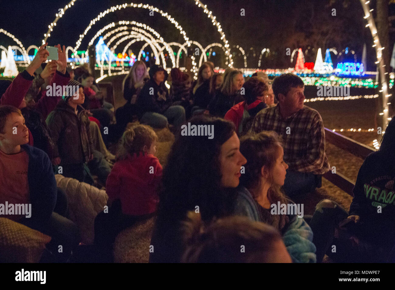 Families enjoyed the light show while on a hayride at the Exceptional