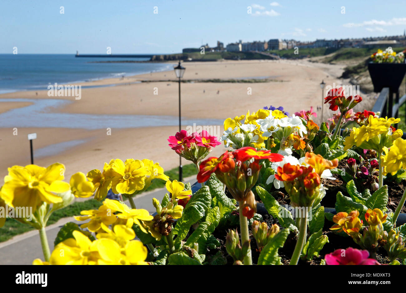 The sun shines on tynemouth beach on north east coast hires stock