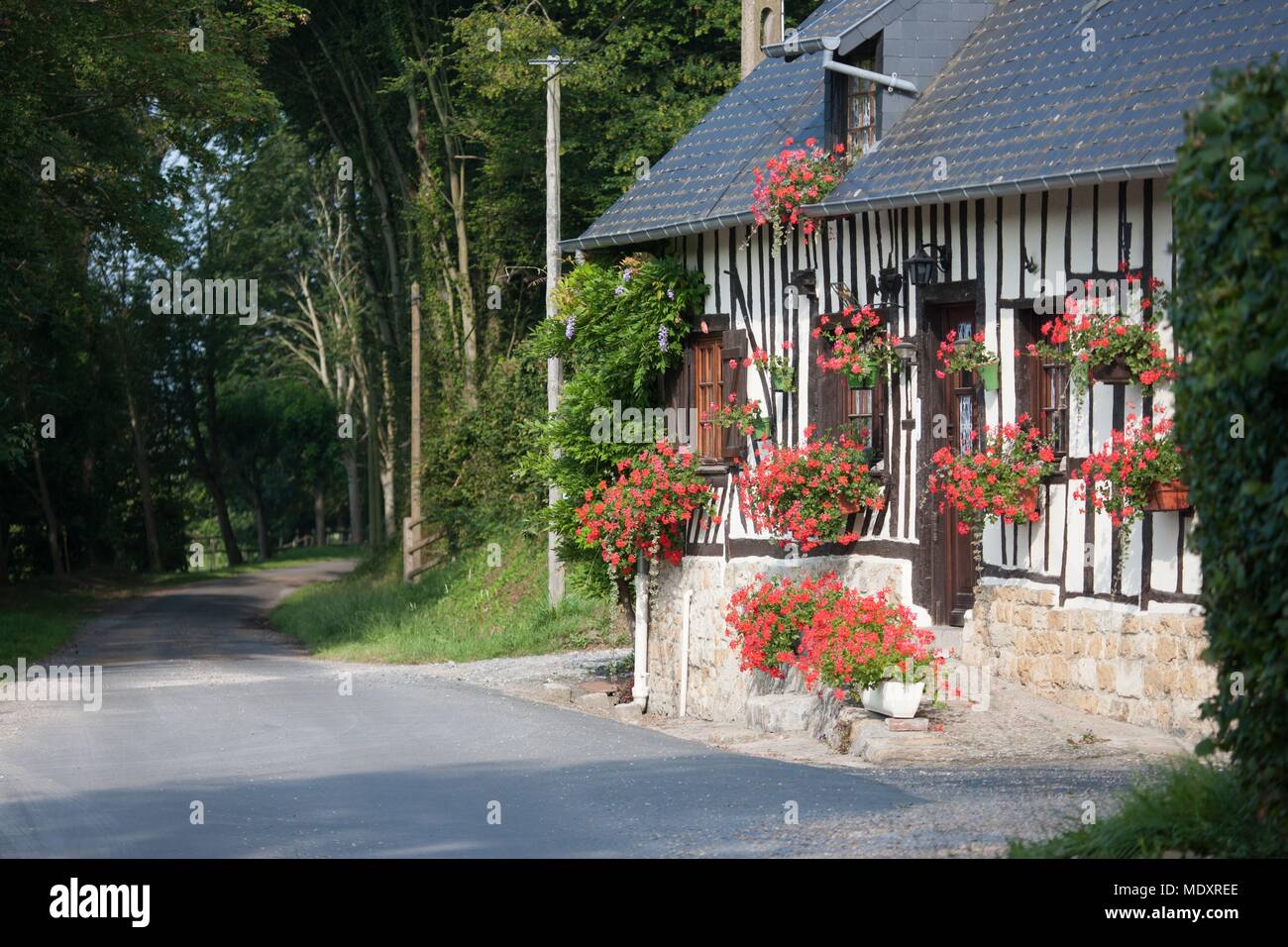 La cote fleurie hi-res stock photography and images - Page 5 - Alamy