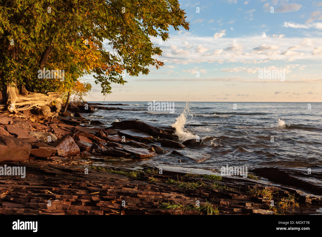 Early morning sun lights up sandstone rocks and tree branches as Lake Superior waves roll up to the shoreline. Puffy clouds are in the sky Stock Photo
