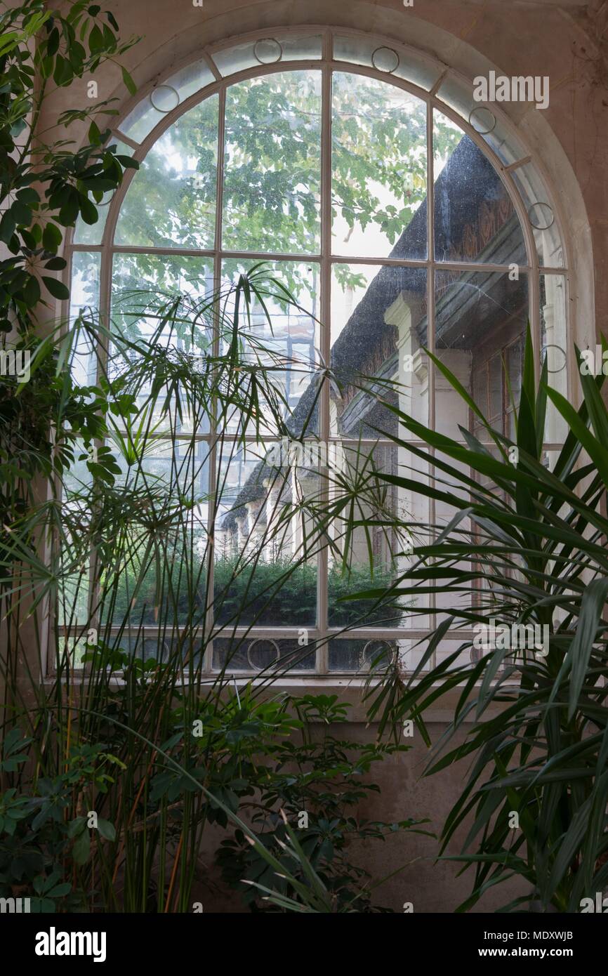 Paris, rue auguste comte, lycee montaigne, winter garden Stock Photo ...