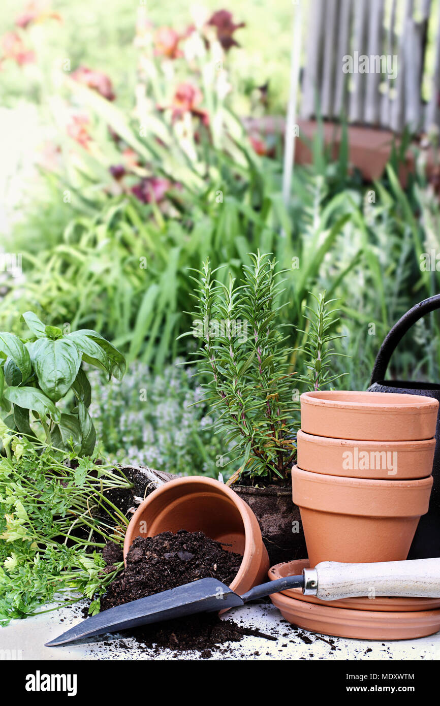Rustic table with terracotta pots, potting soil, trowel and herbs in