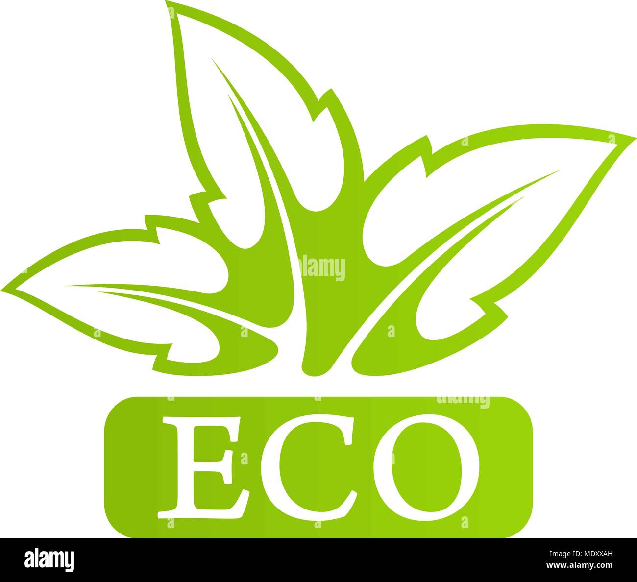 Logo Eco with green leafs  Stock Vector