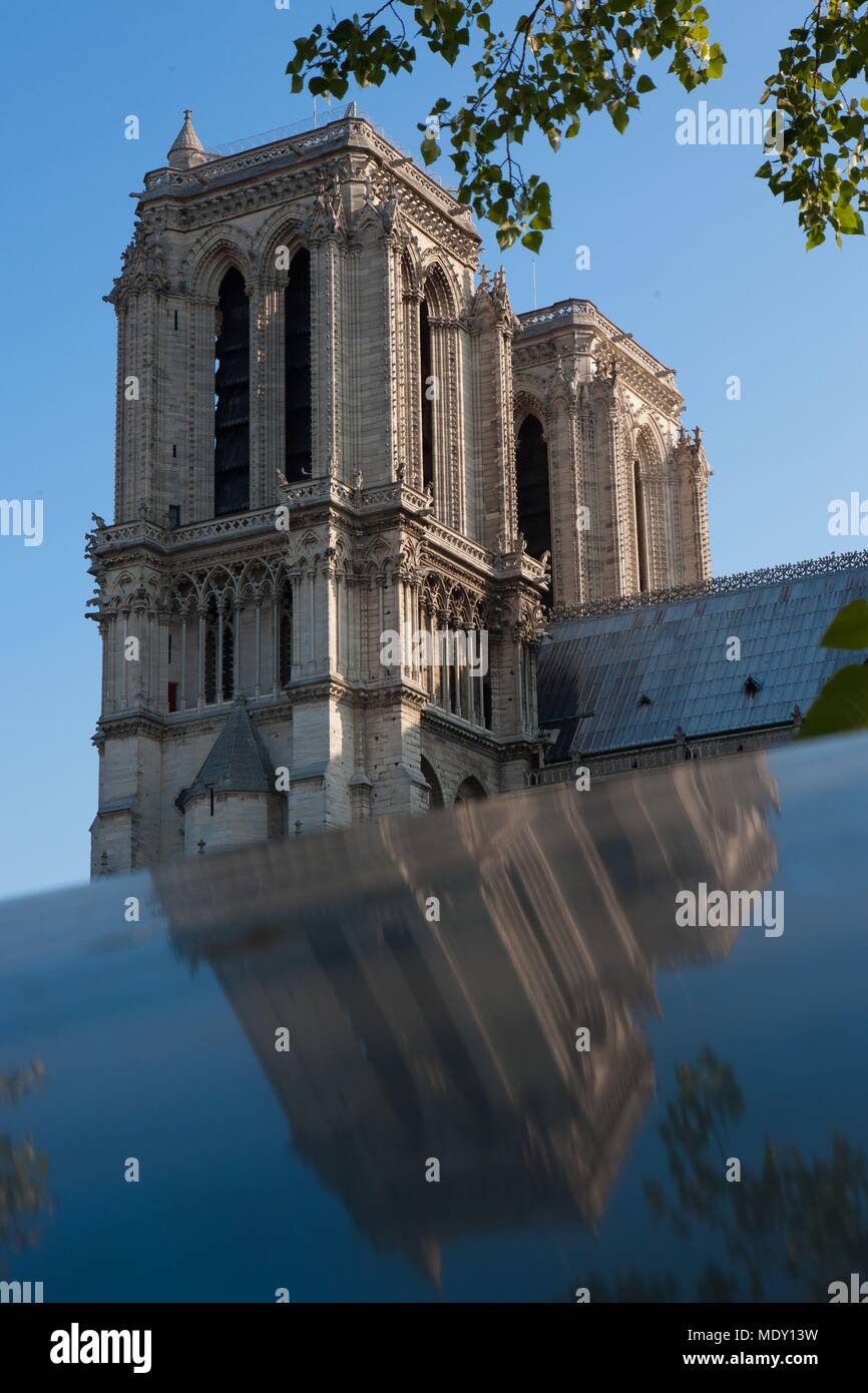 Paris, quai de la  tournelle, Rive Gauche, in front of Notre Dame de Paris, reflet des towers sur une second hand book seller box, trees Stock Photo