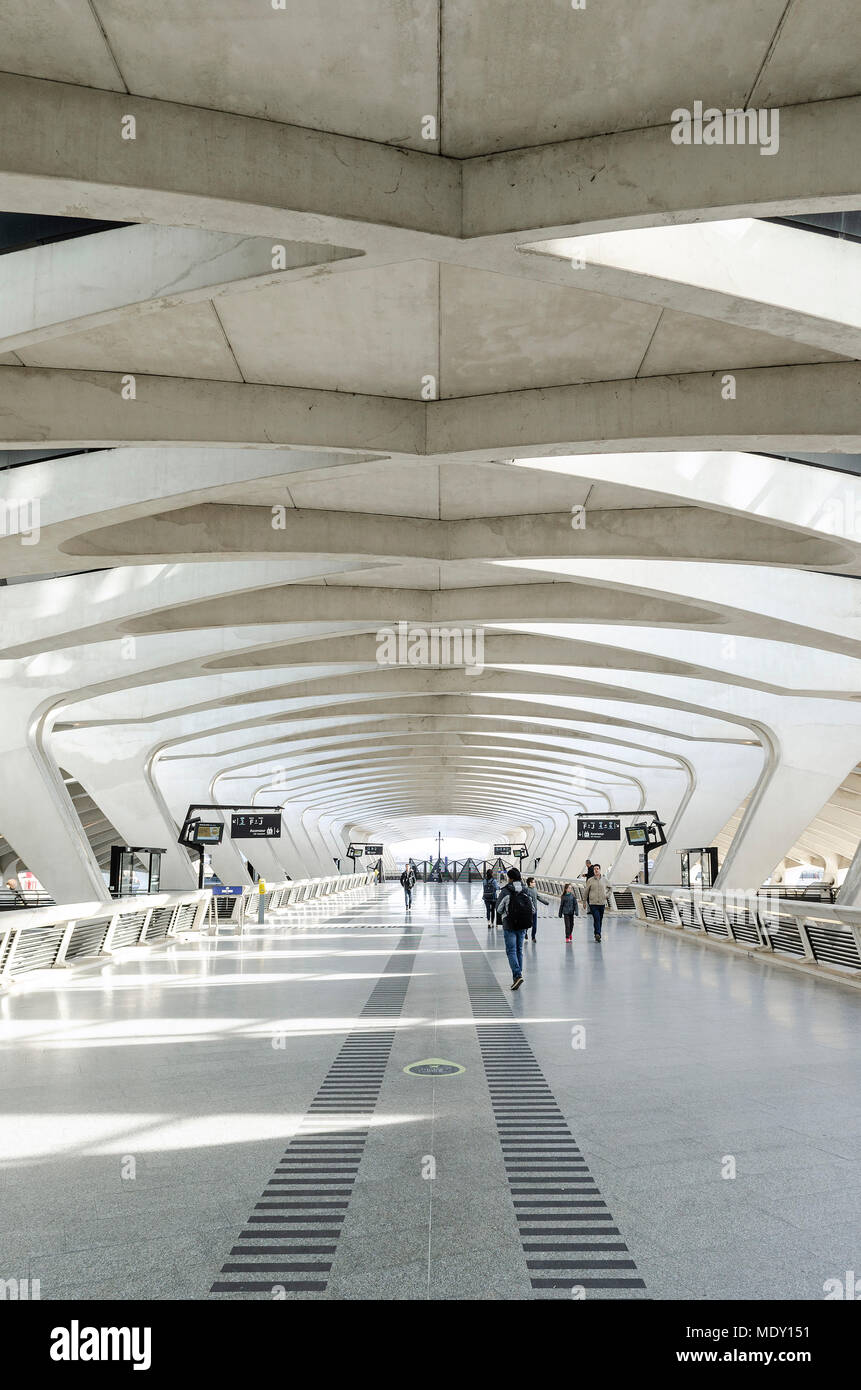 famous lyon airport tgv railway station modern architecture landmark
