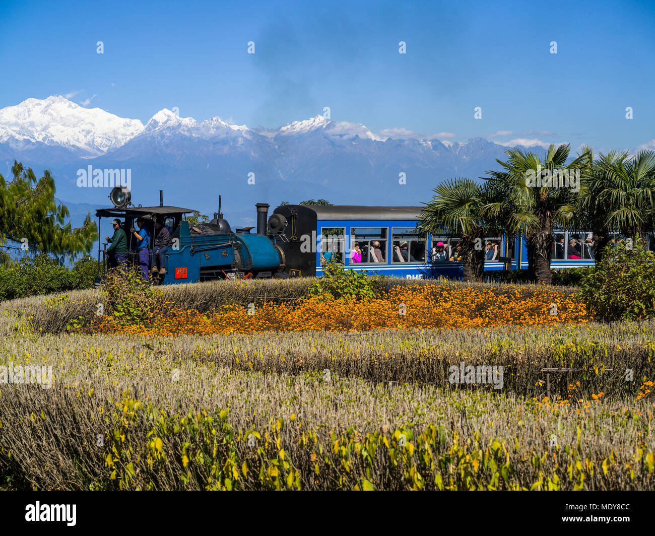 Darjeeling Toy Train, The Darjeeling Himalayan Railway; Darjeeling, West Bengal, India Stock Photo
