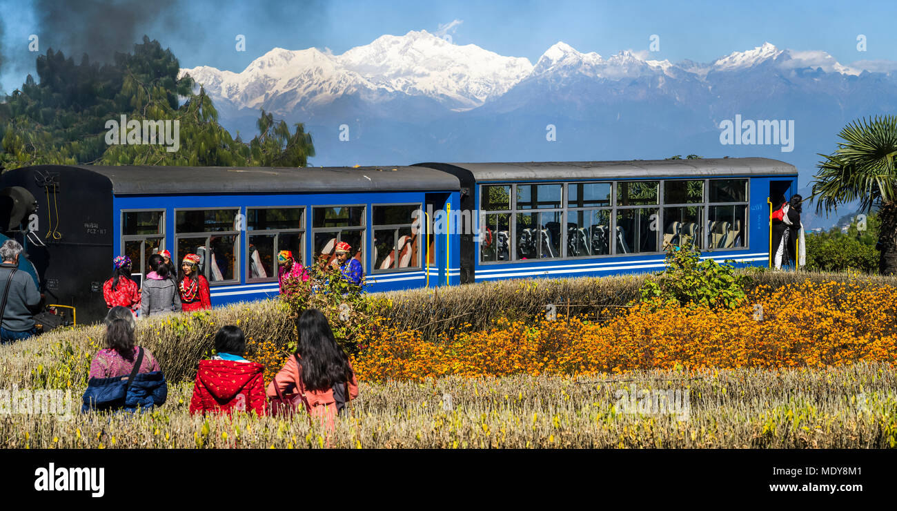 Darjeeling Toy Train, The Darjeeling Himalayan Railway; Darjeeling, West Bengal, India Stock Photo