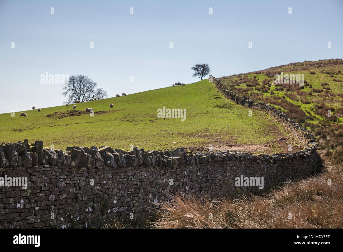 Dry Stone Wall in the Talybont Valley in the Central Brecon Beacons Stock Photo