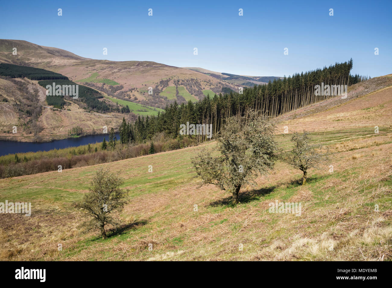 Talybont Valley in the Brecon Beacons National Park Stock Photo