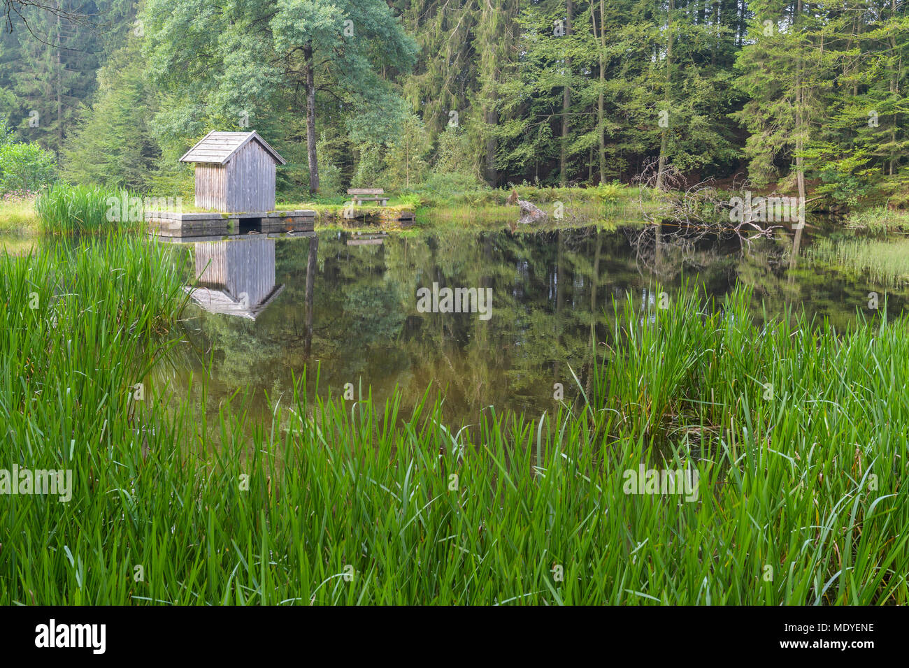 Little pond and fishing hut at Klause in Alt Neuschoenau in the Bavarian Forest National Park, Bavaria, Germany Stock Photo