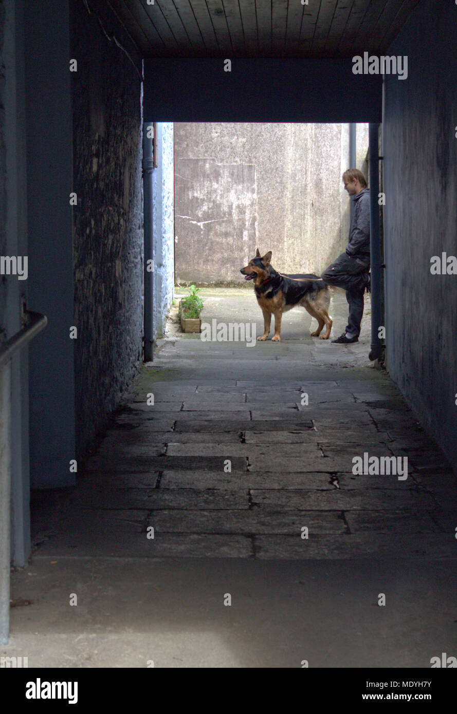 Young Man At The End Of A Dark Alleyway Leaning Against A Brick Wall With His Large Pet Dog On A Lead Patiently Waiting To Go For A Walk Stock Photo