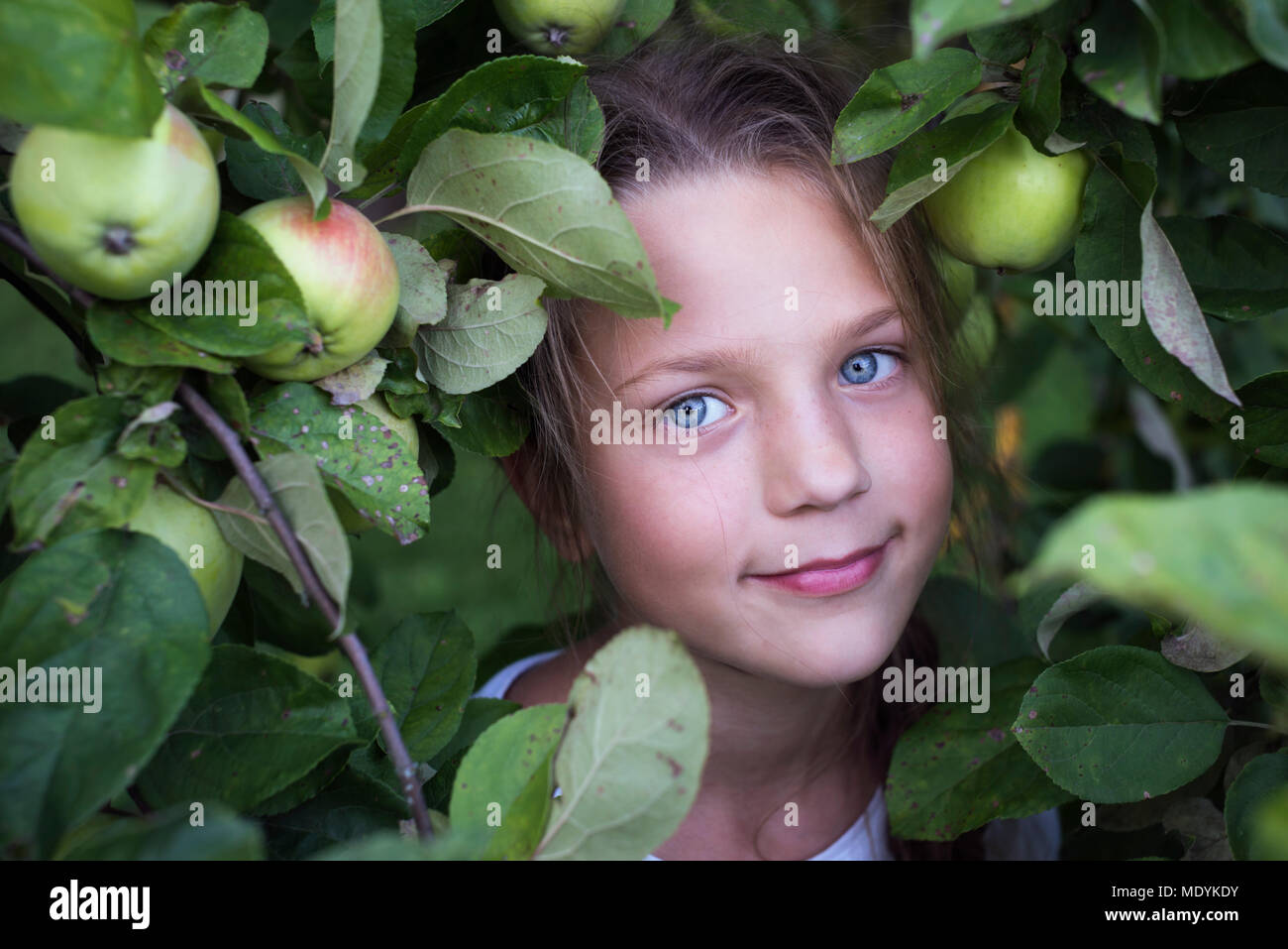 child girl smiling portrait between apple tree branches by summer Stock Photo