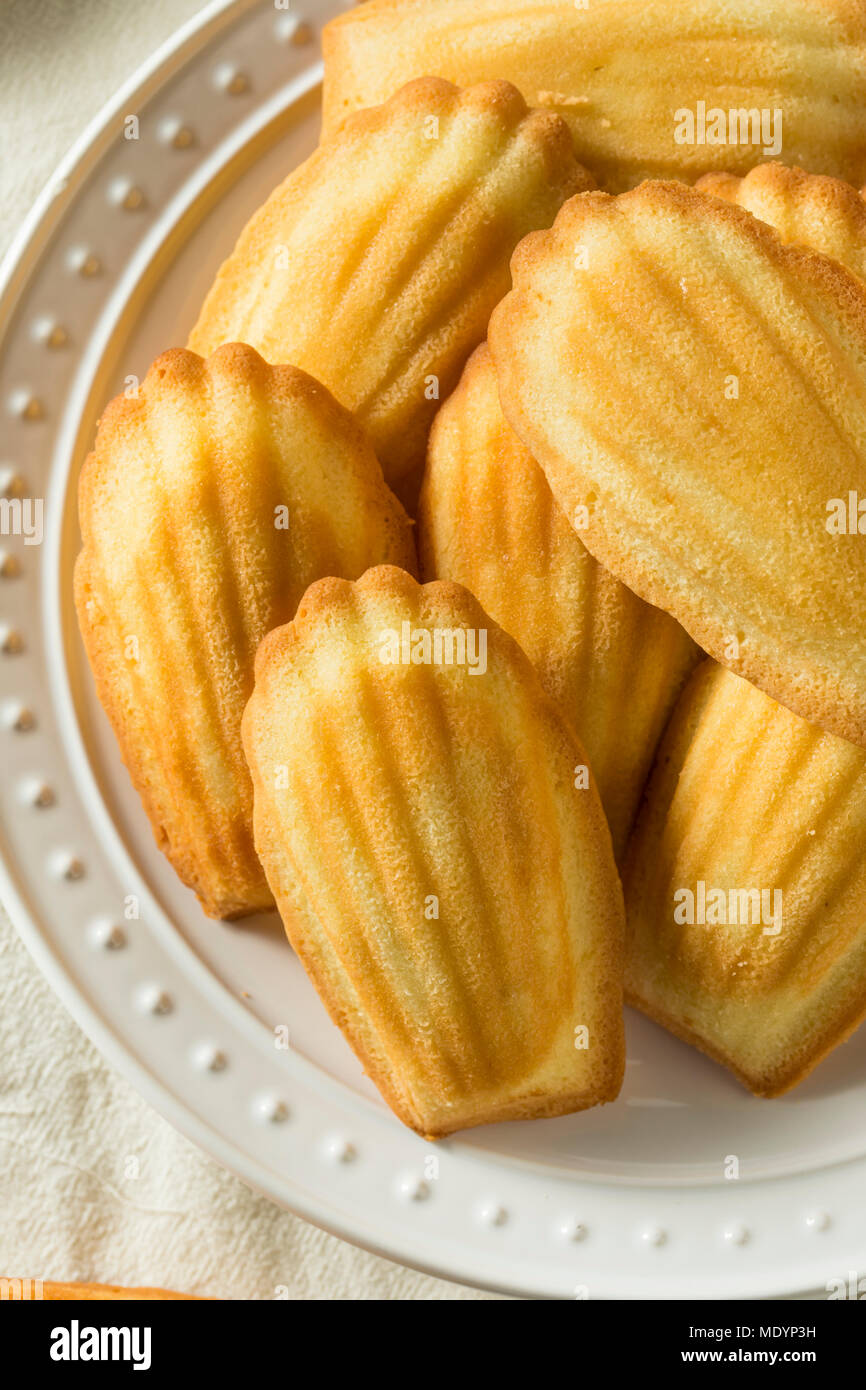 Homemade Sweet French Madeleines Ready to Eat Stock Photo