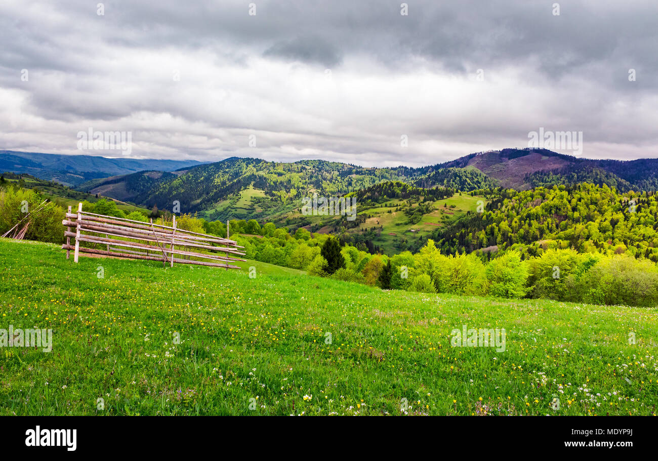 lovely rural scenery of Carpathians. beautiful landscape with grassy rural fields on hills in springtime. overcast sky over the mountains Stock Photo