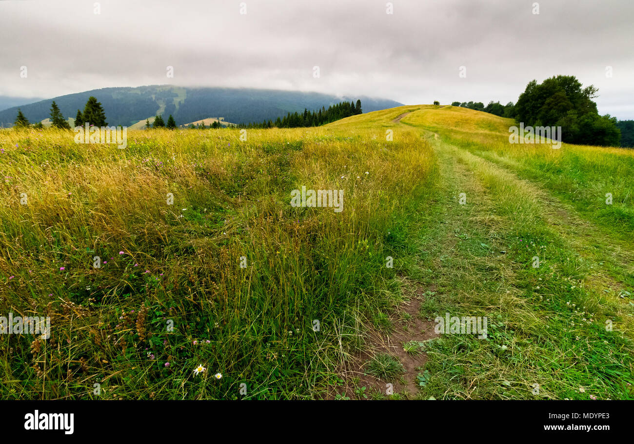 country road through grassy fields in mountains. lovely summer countryside on overcast day Stock Photo