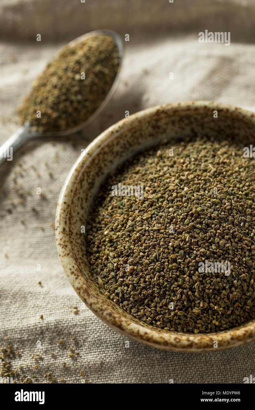 Indian celery hires stock photography and images Alamy