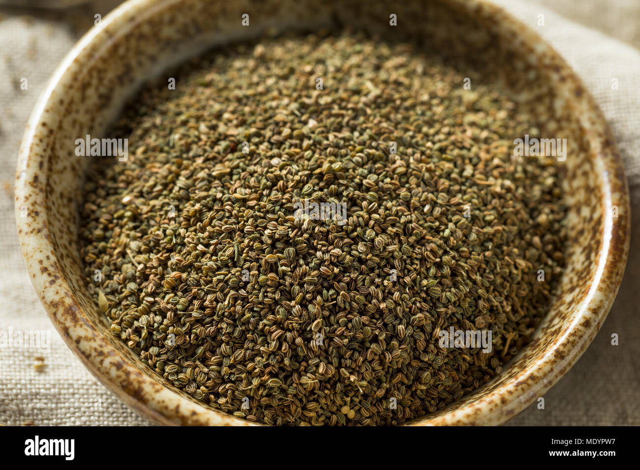 Indian celery hires stock photography and images Alamy