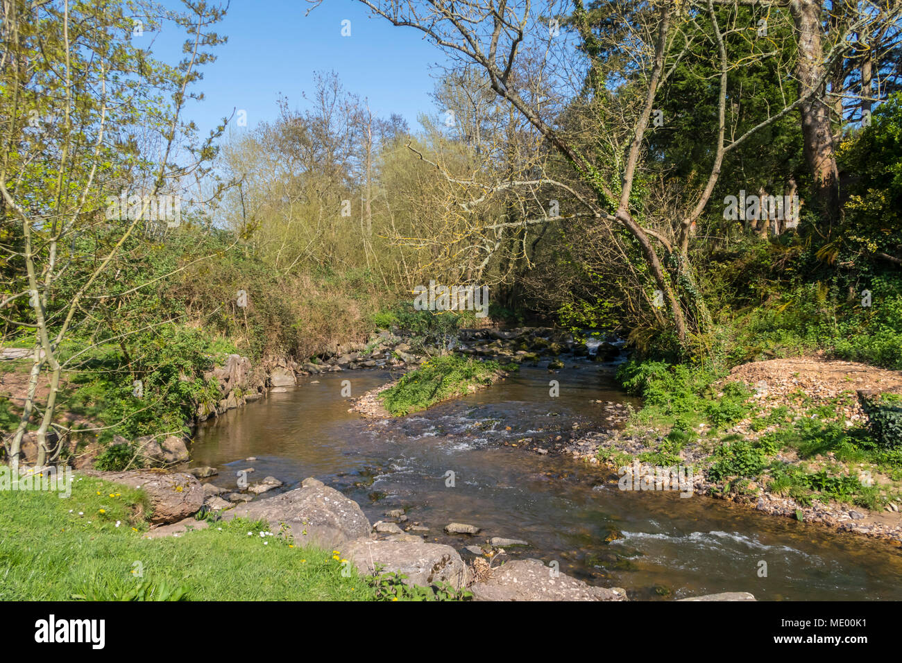 The River Sid flowing through the Byes, Sidmouth. The Sid is one of England's shortest rivers, 6 miles long. Stock Photo