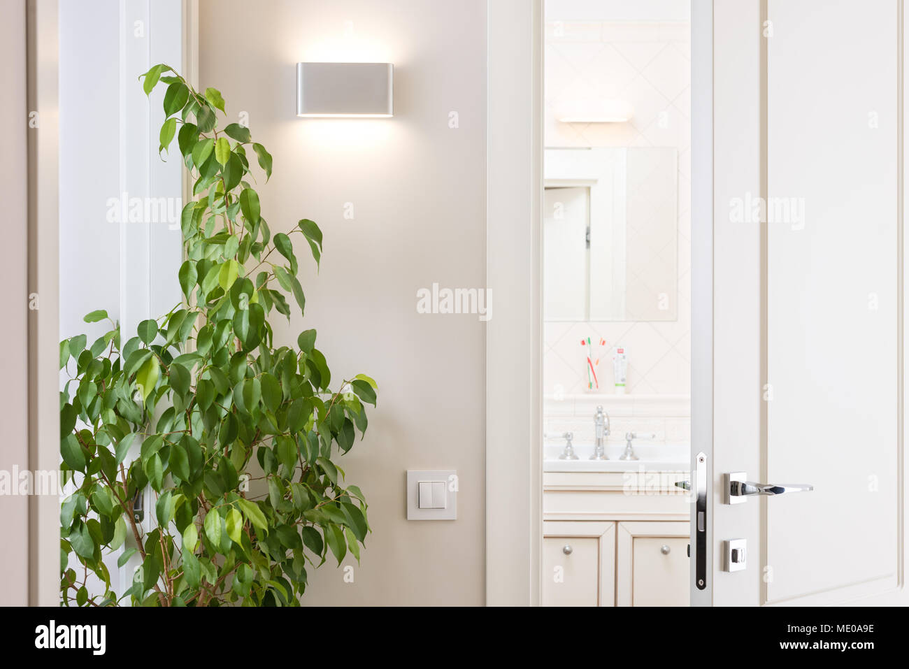 Ajar white door in the bright bathroom. Series switch and modern wall lamp on light gray wall. Chrome door handle and lock. Green houseplant Stock Photo