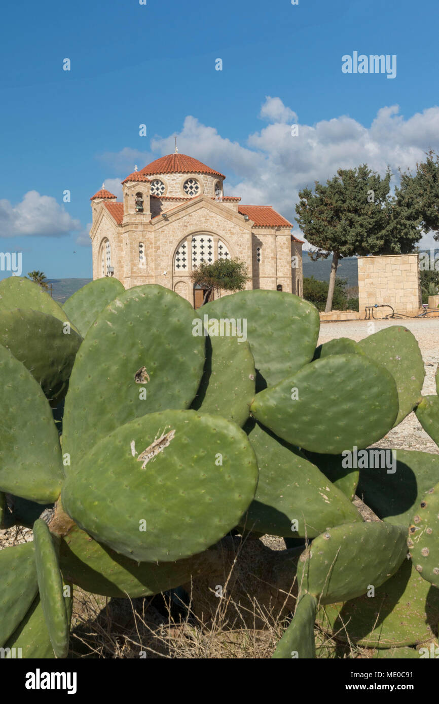 Prickly pear cactus paddles in front of agios gergios church, paphos, mediterranean island of cyprus, europe Stock Photo