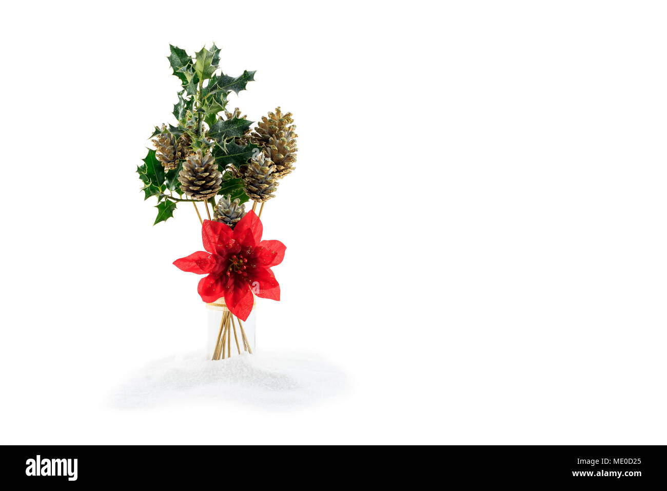 Christmas decoration of gold painted fir cones,green Holly,  in glass jar on artificial snow base, Poinsettia flower  isolated on white Stock Photo