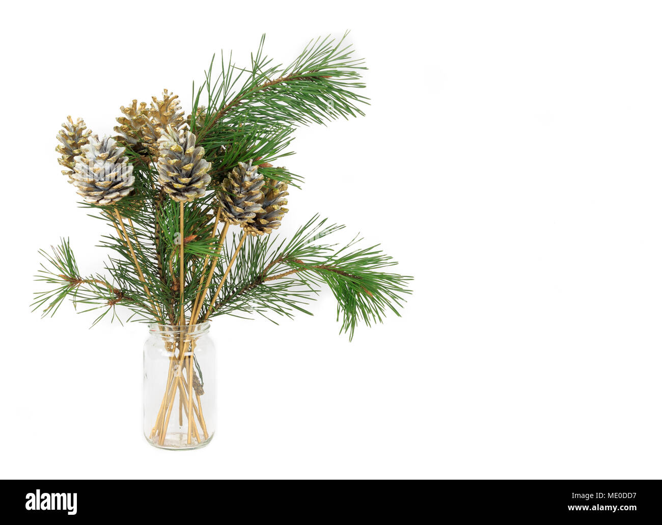 Christmas decoration of gold painted pine cones and branches in glass jar isolated on white background Stock Photo