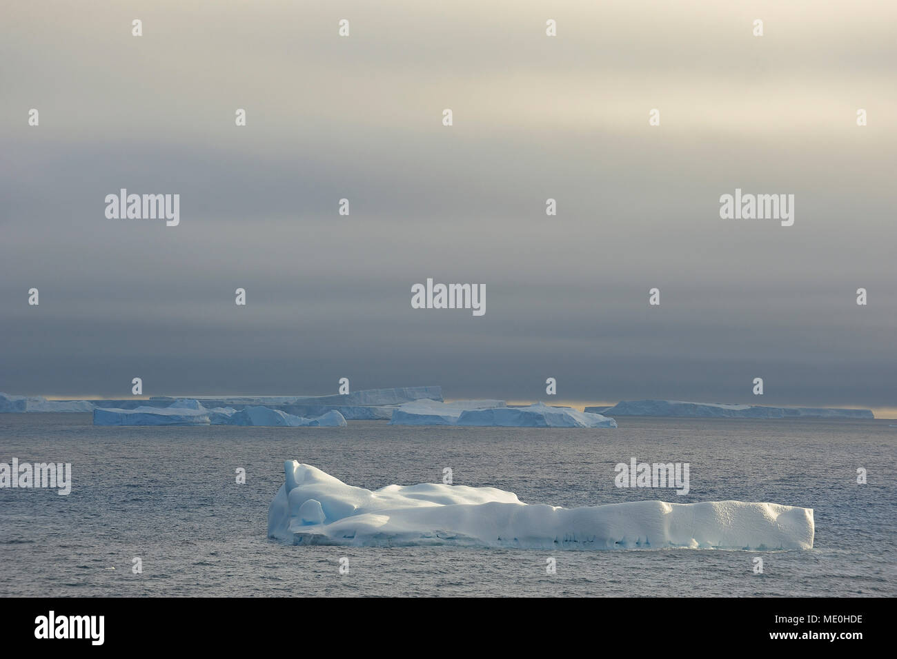 Sunlit icebergs floating in the Antarctic Sound at the Antarctic Peninsula, Antarctica Stock Photo