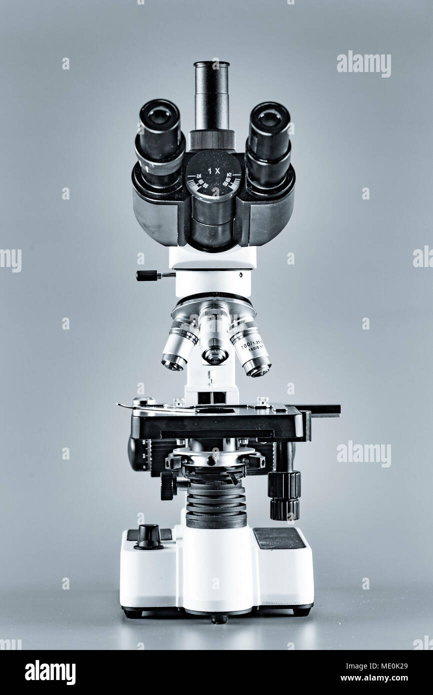 Light microscope Stock Photo Alamy