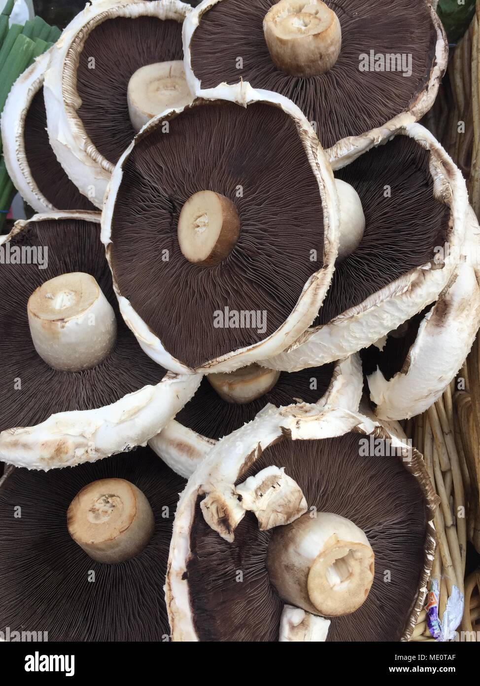 A basket packed full of Portobello mushrooms ina fruit and vegetable background image on an outdoor market stall Stock Photo