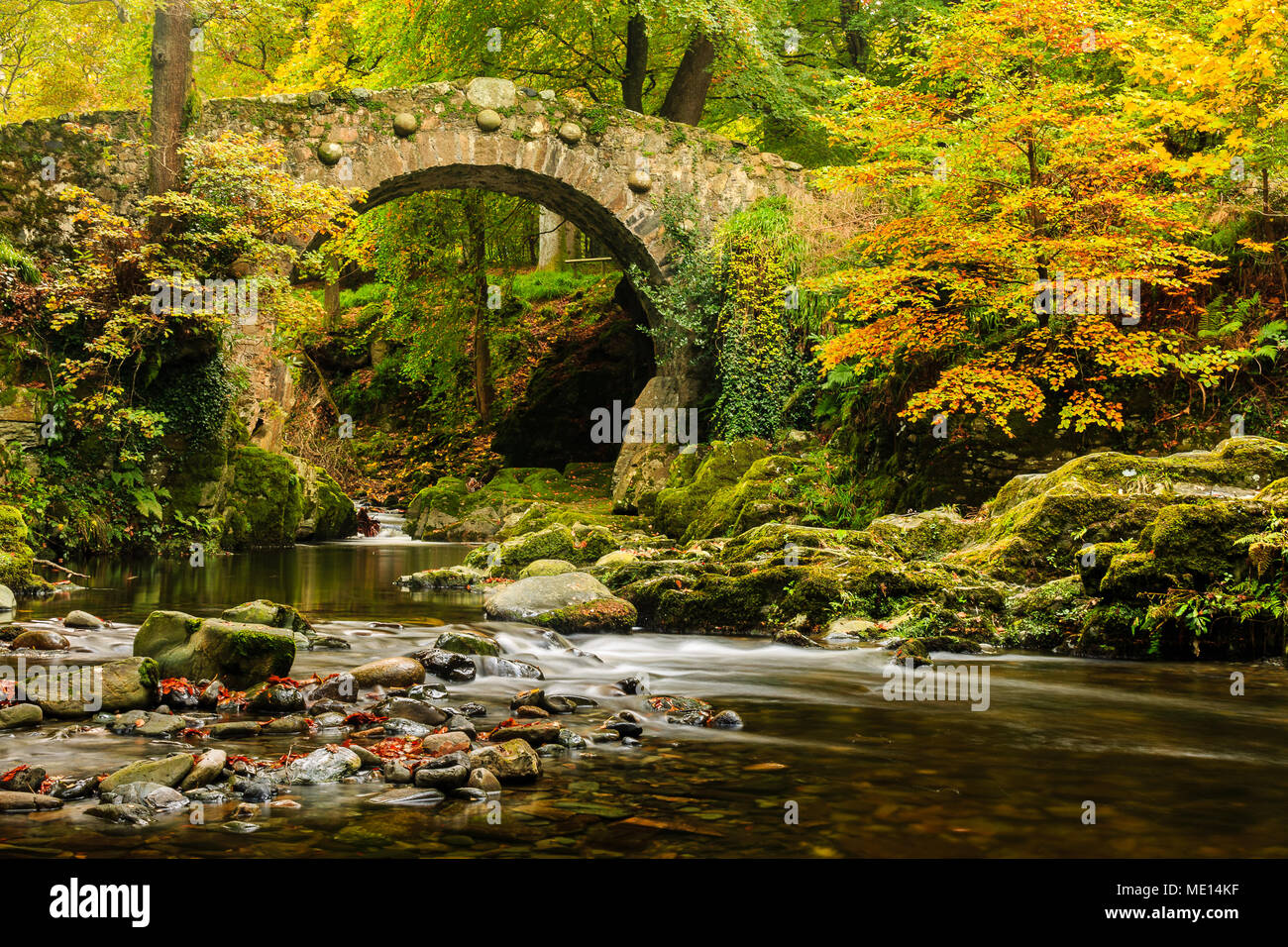 An Autumnal shot of Foley's Bridge over the Shimna River in Tollymore Forest Park in County Down, Ireland. Stock Photo