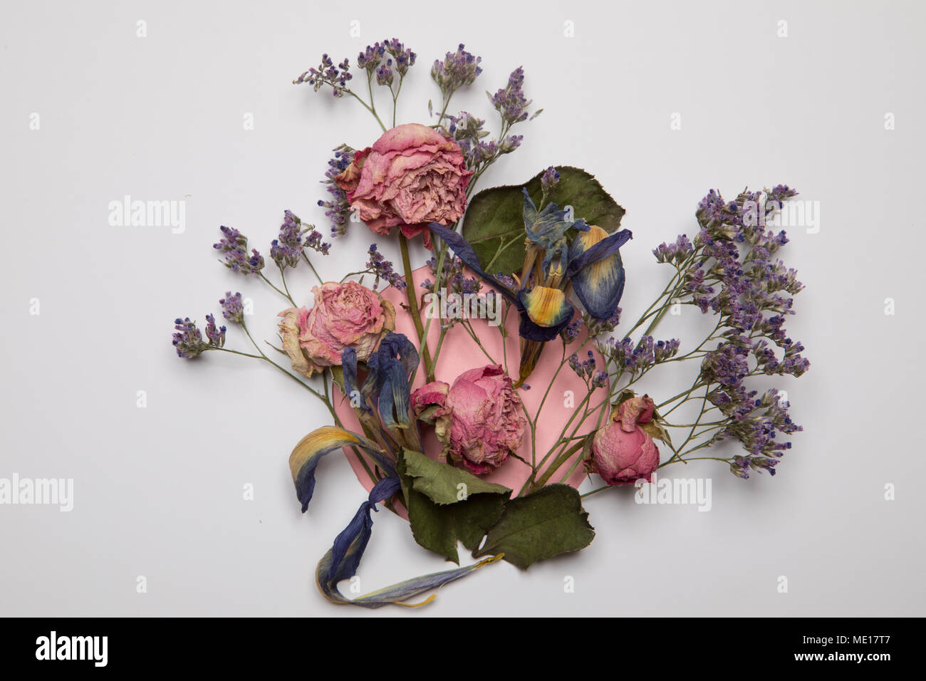 Card with dried flowers Stock Photo