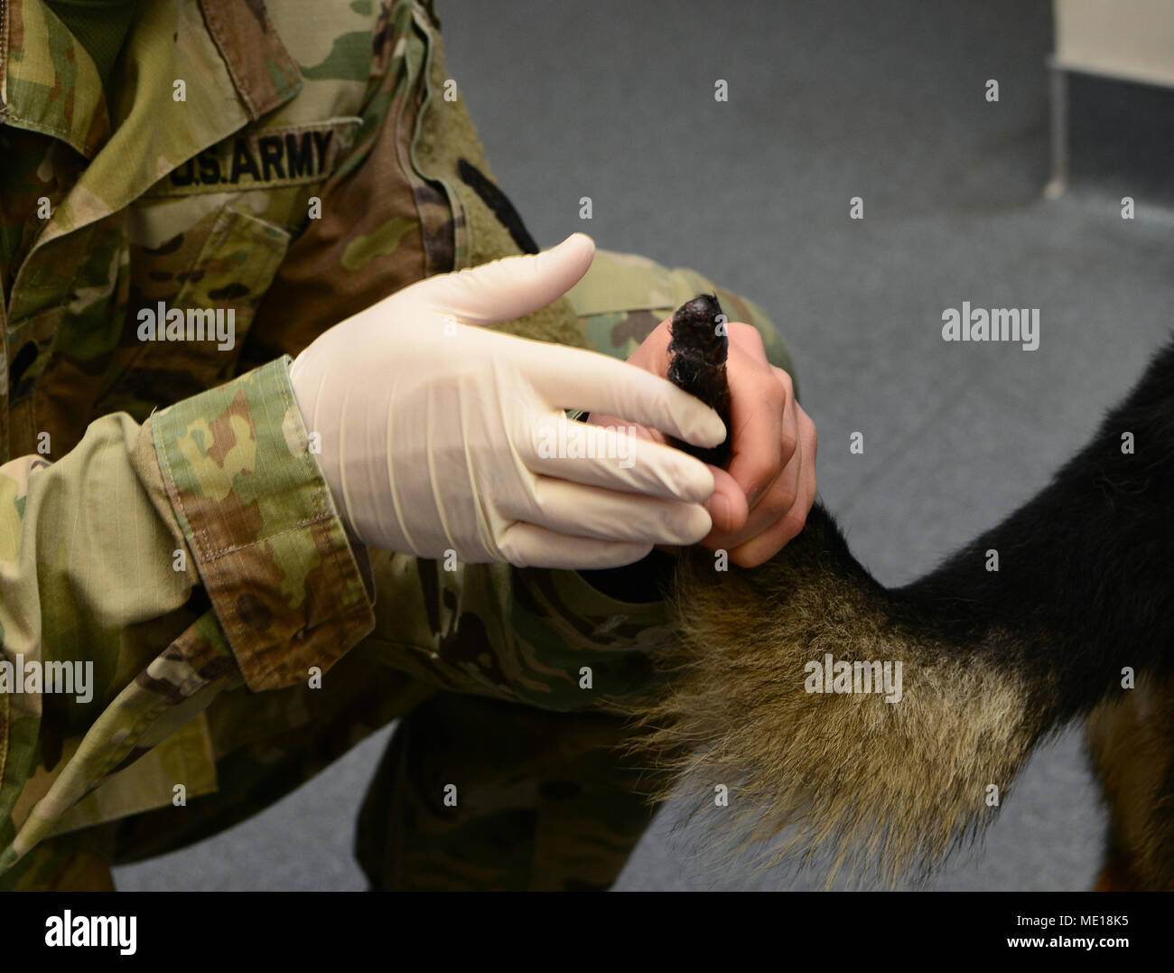 Beale clinic hires stock photography and images Alamy