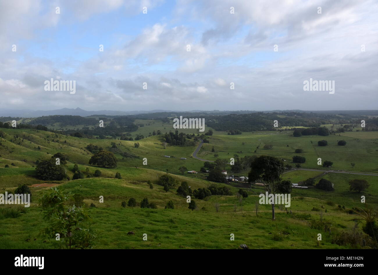 Broad panorama of the countryside in North New South Wales with green fields. Grassy hills in Australia. View from Minyon Falls lookout, Nightcap Nati Stock Photo