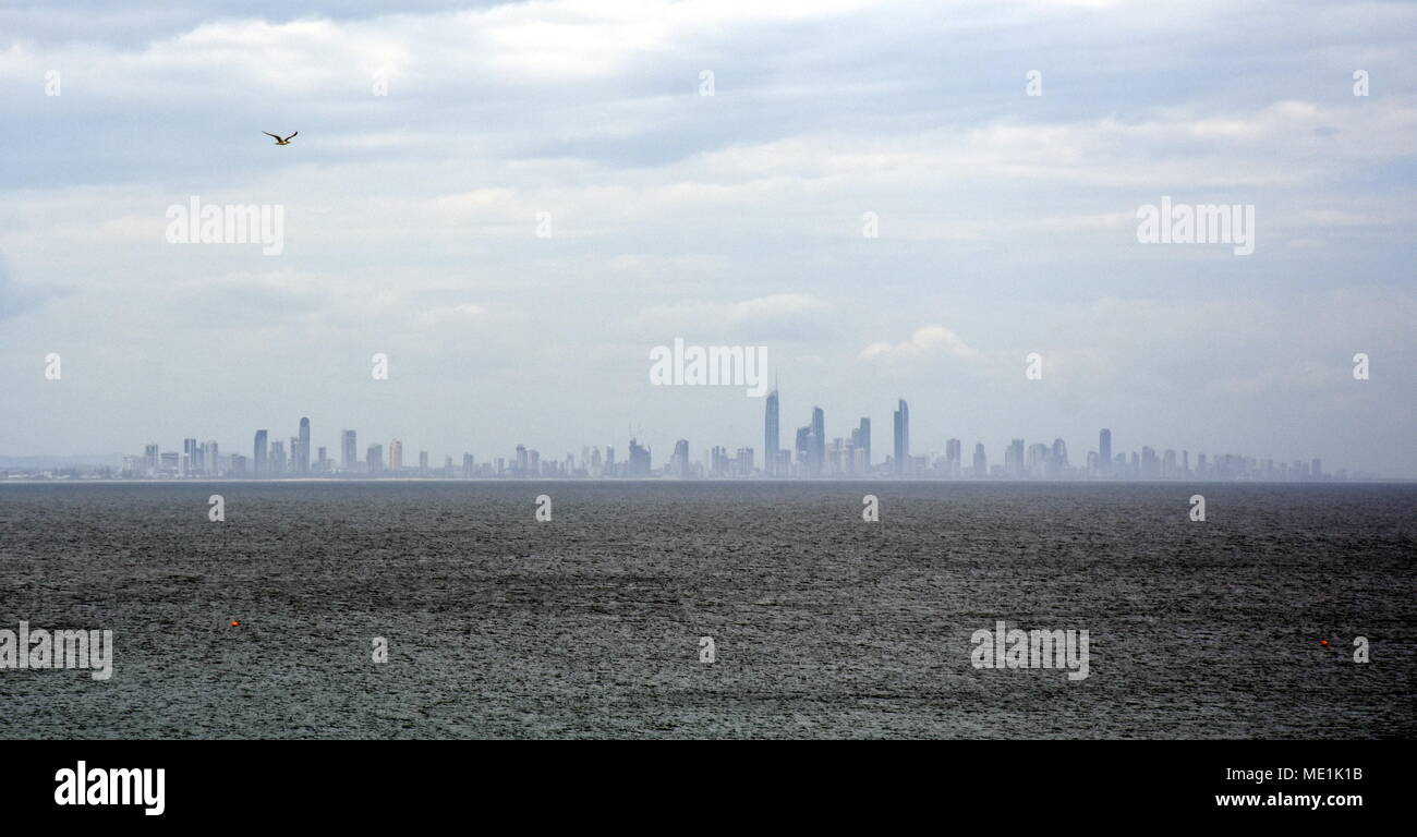 Gold Coast skyline view from Rainbow Bay lookout in Pat Fagan Park (Coolangatta, Queensland Australia) Stock Photo