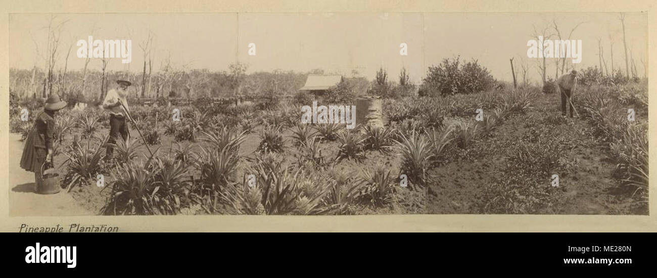 Caboolture hires stock photography and images Alamy